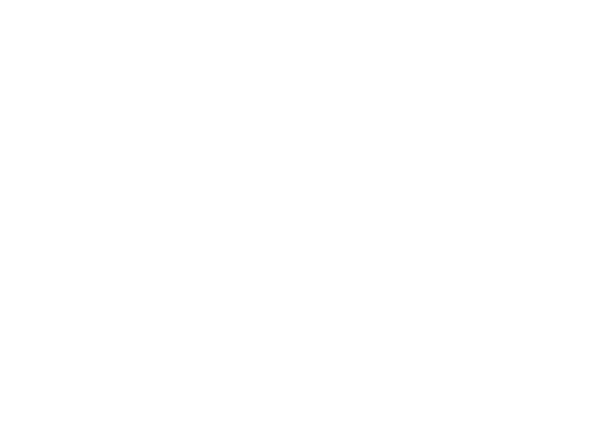 Dream Homes Revealed